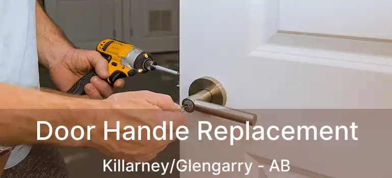  Door Handle Replacement Killarney/Glengarry - AB
