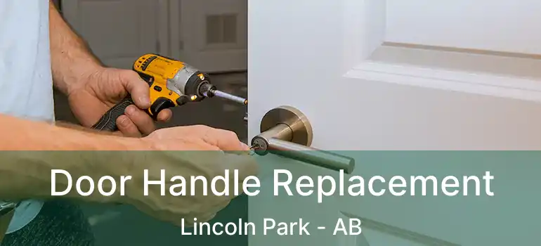  Door Handle Replacement Lincoln Park - AB