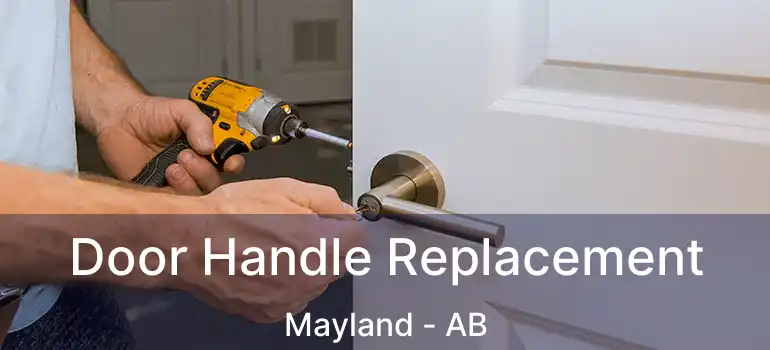  Door Handle Replacement Mayland - AB
