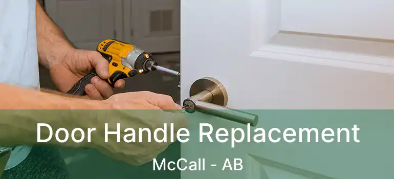  Door Handle Replacement McCall - AB