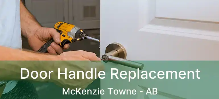  Door Handle Replacement McKenzie Towne - AB