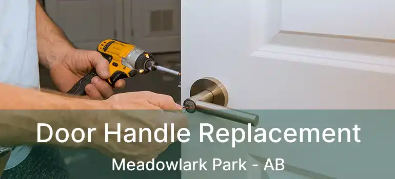  Door Handle Replacement Meadowlark Park - AB
