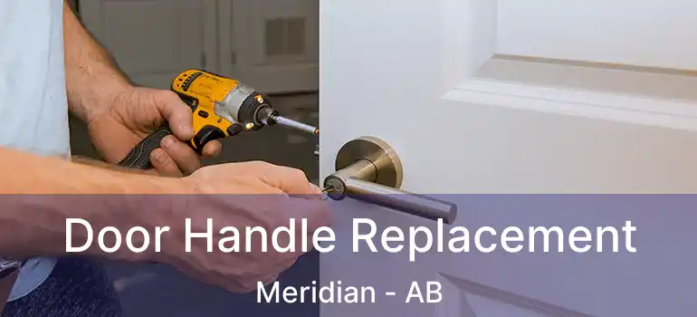  Door Handle Replacement Meridian - AB