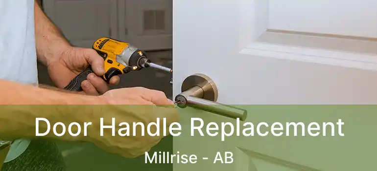  Door Handle Replacement Millrise - AB