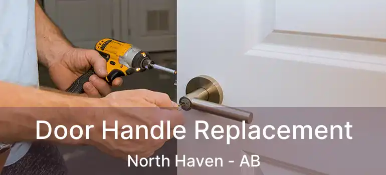  Door Handle Replacement North Haven - AB