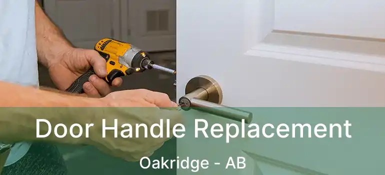  Door Handle Replacement Oakridge - AB