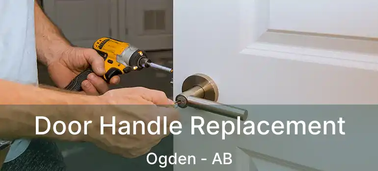  Door Handle Replacement Ogden - AB