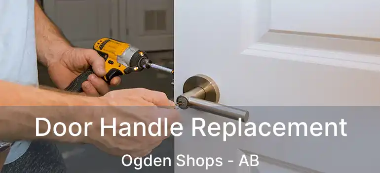  Door Handle Replacement Ogden Shops - AB