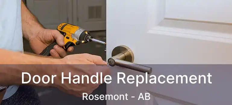  Door Handle Replacement Rosemont - AB