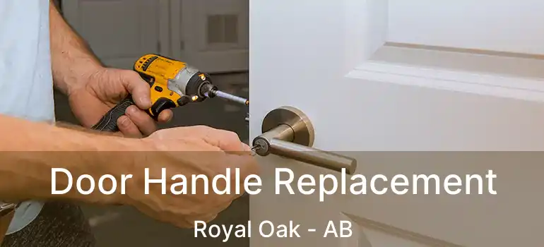  Door Handle Replacement Royal Oak - AB
