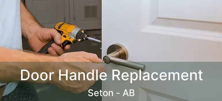  Door Handle Replacement Seton - AB