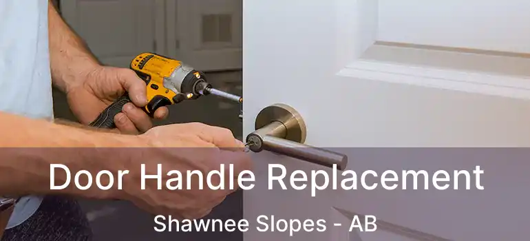  Door Handle Replacement Shawnee Slopes - AB