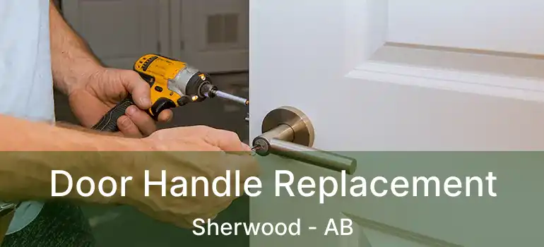  Door Handle Replacement Sherwood - AB