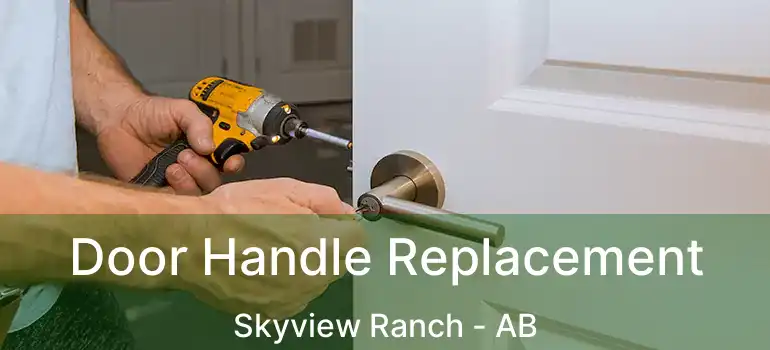  Door Handle Replacement Skyview Ranch - AB