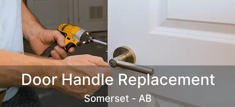  Door Handle Replacement Somerset - AB