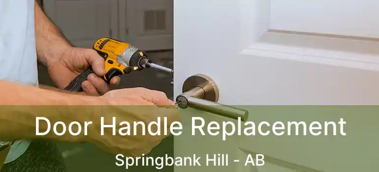  Door Handle Replacement Springbank Hill - AB
