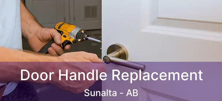  Door Handle Replacement Sunalta - AB