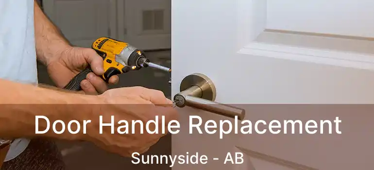  Door Handle Replacement Sunnyside - AB