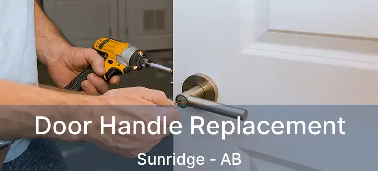  Door Handle Replacement Sunridge - AB