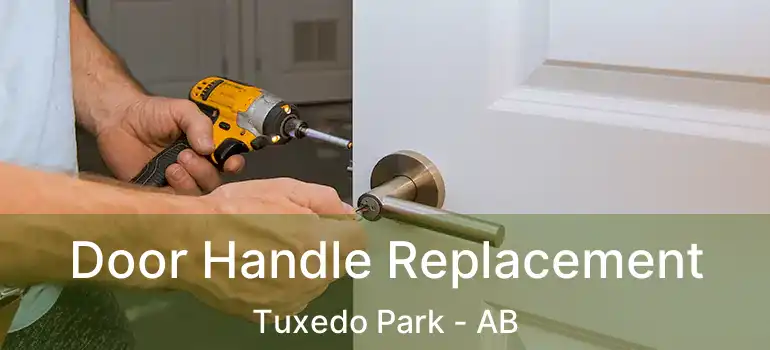  Door Handle Replacement Tuxedo Park - AB