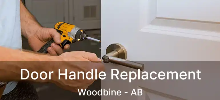  Door Handle Replacement Woodbine - AB