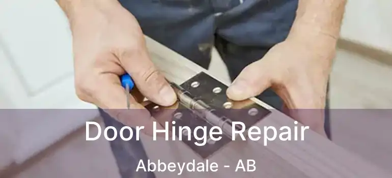  Door Hinge Repair Abbeydale - AB