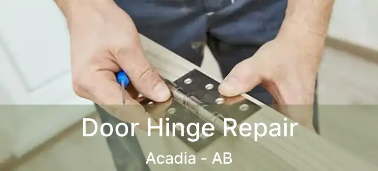  Door Hinge Repair Acadia - AB