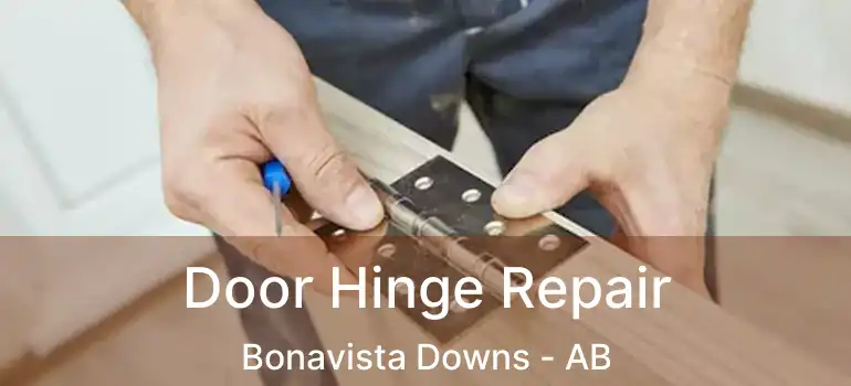  Door Hinge Repair Bonavista Downs - AB
