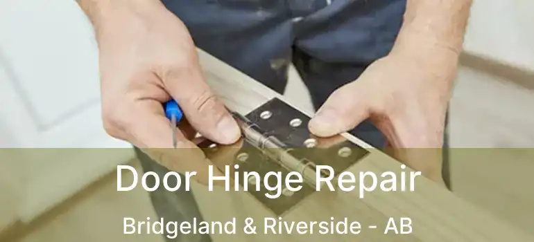  Door Hinge Repair Bridgeland & Riverside - AB