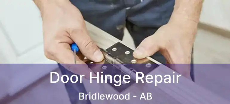  Door Hinge Repair Bridlewood - AB