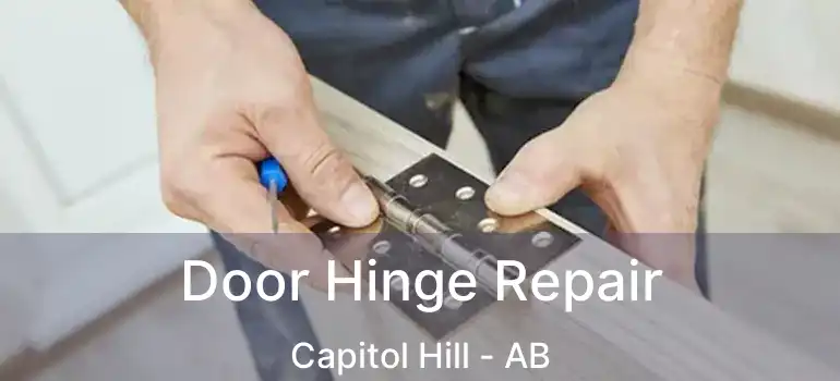  Door Hinge Repair Capitol Hill - AB