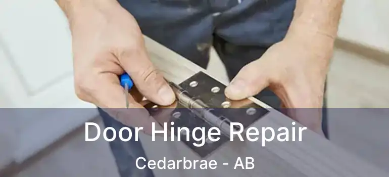  Door Hinge Repair Cedarbrae - AB