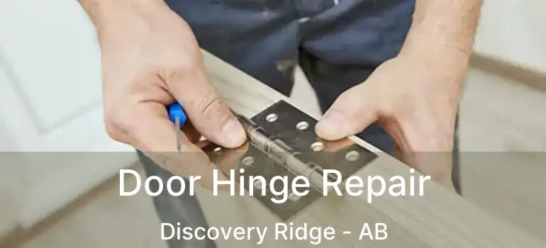  Door Hinge Repair Discovery Ridge - AB