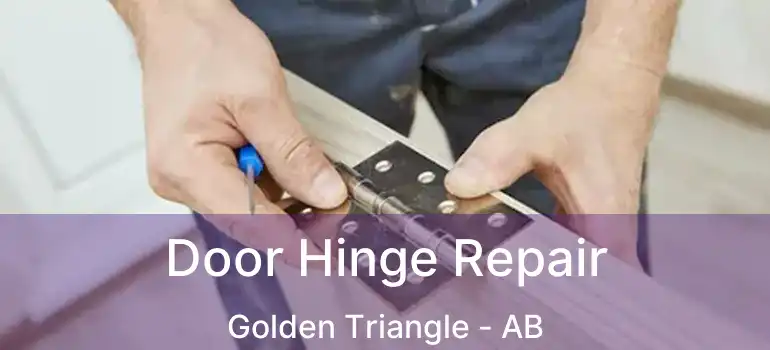  Door Hinge Repair Golden Triangle - AB