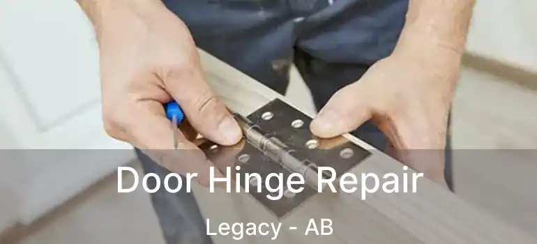 Door Hinge Repair Legacy - AB