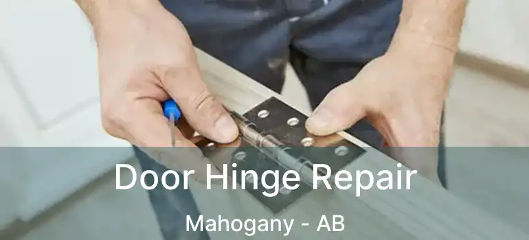  Door Hinge Repair Mahogany - AB
