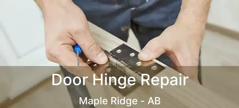  Door Hinge Repair Maple Ridge - AB