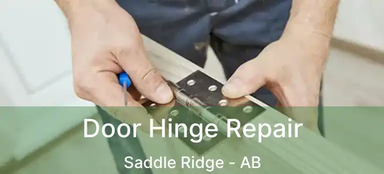  Door Hinge Repair Saddle Ridge - AB