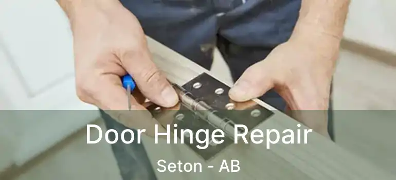  Door Hinge Repair Seton - AB