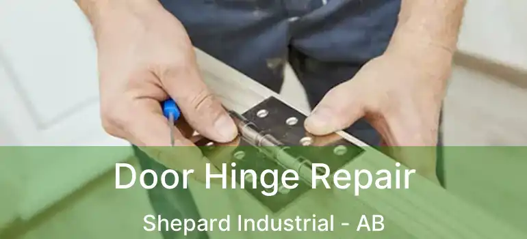  Door Hinge Repair Shepard Industrial - AB