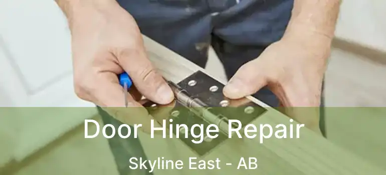  Door Hinge Repair Skyline East - AB