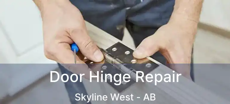  Door Hinge Repair Skyline West - AB