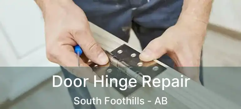  Door Hinge Repair South Foothills - AB