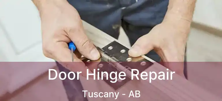  Door Hinge Repair Tuscany - AB