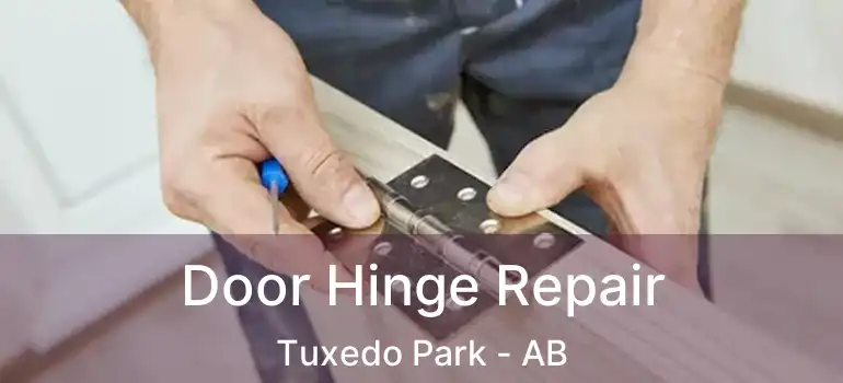 Door Hinge Repair Tuxedo Park - AB