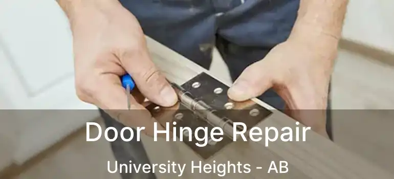  Door Hinge Repair University Heights - AB