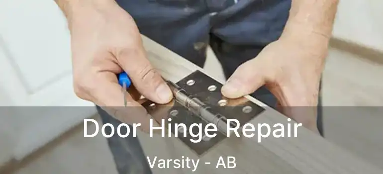  Door Hinge Repair Varsity - AB