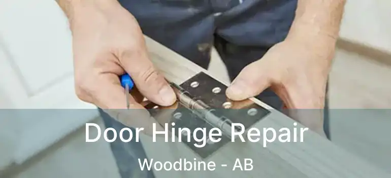  Door Hinge Repair Woodbine - AB
