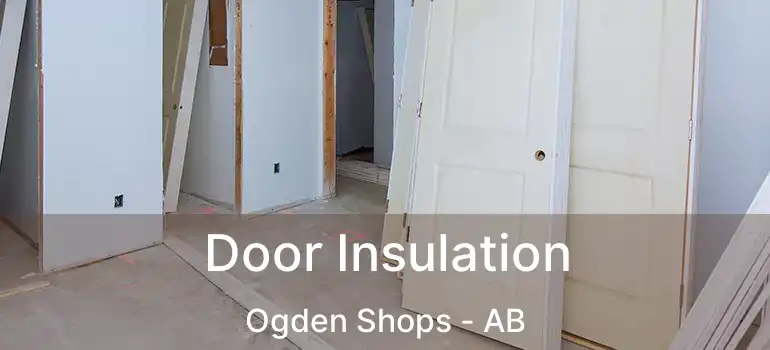  Door Insulation Ogden Shops - AB