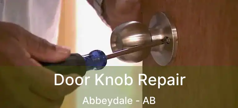  Door Knob Repair Abbeydale - AB
